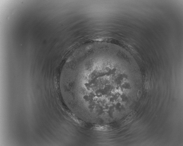 X0000067460569200604142328