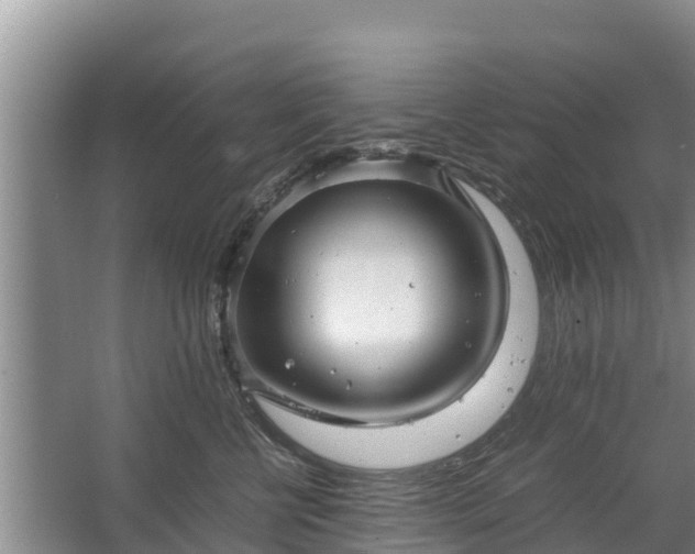 X0000067460570200604142328