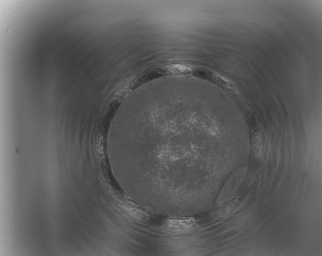 X0000067460571200604142328