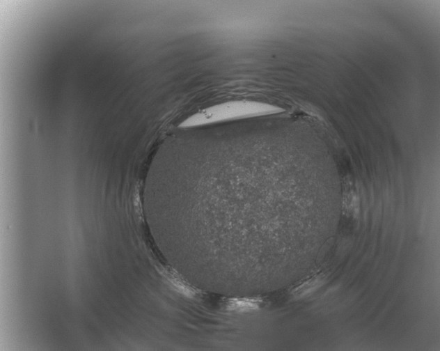 X0000067460573200604142328