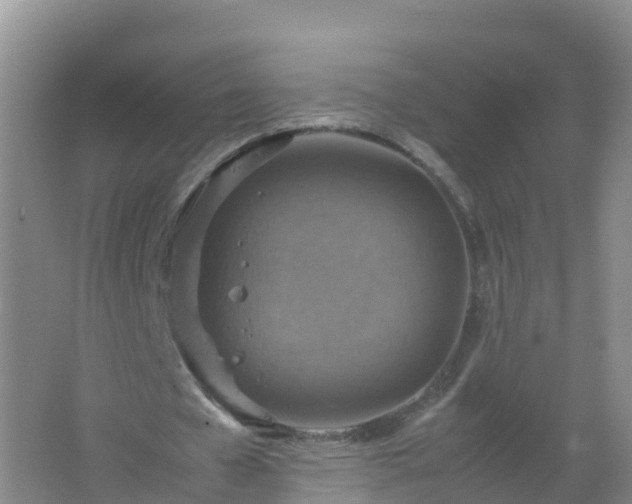 X0000067460577200604142327