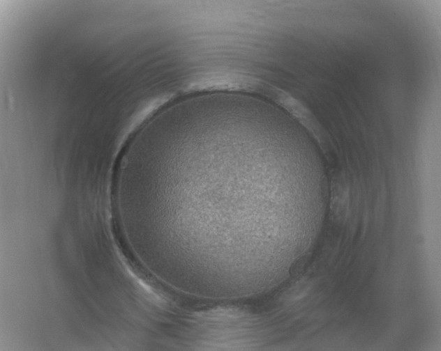 X0000067460578200604142327