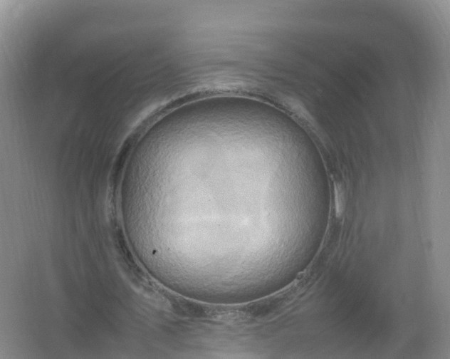 X0000067460579200604142327