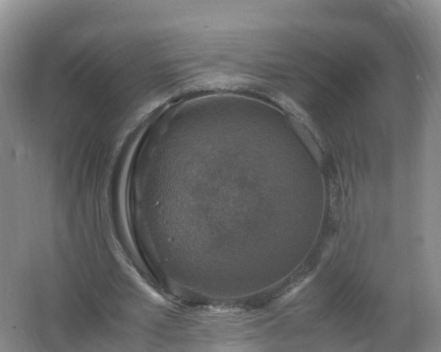 X0000067460581200604142327