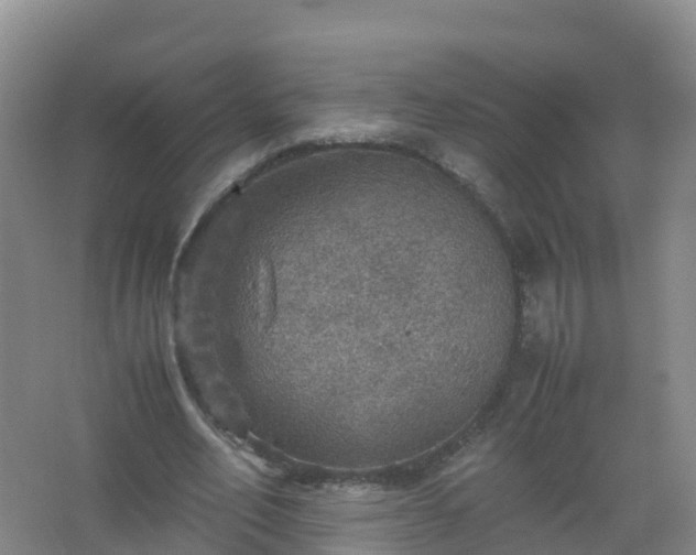 X0000067460582200604142327