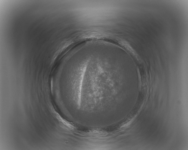 X0000067460585200604142327