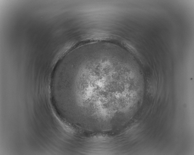 X0000067460586200604142327