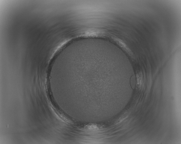 X0000067460588200604142327