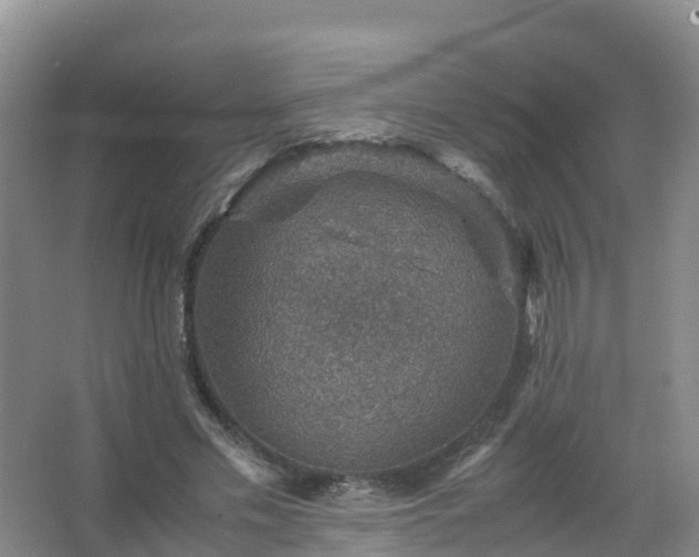 X0000067460589200604142327