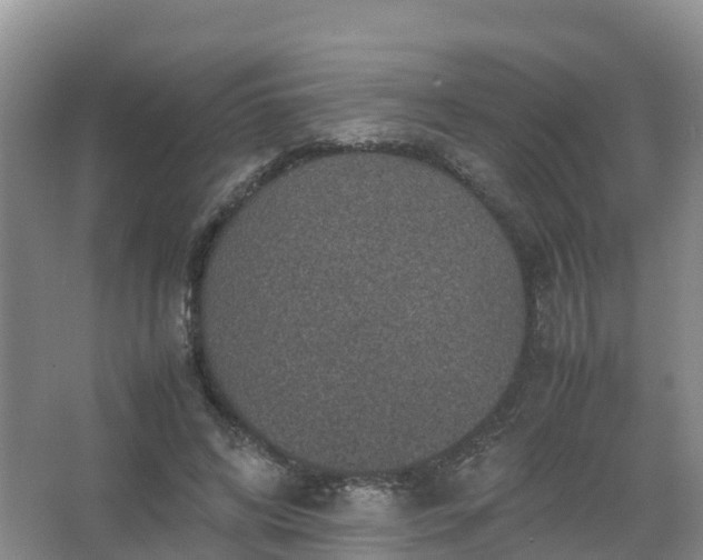 X0000067460592200604142327