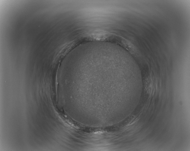 X0000067460594200604142327