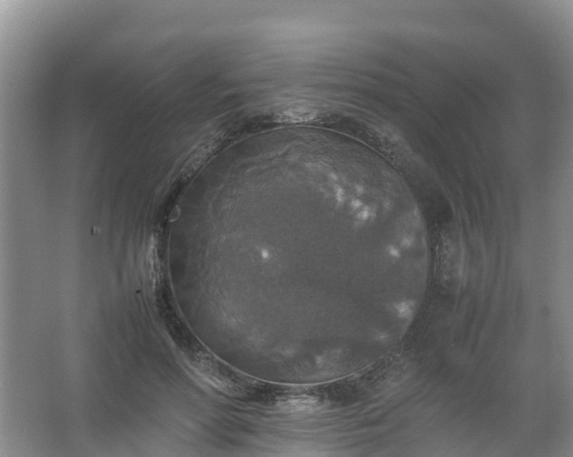 X0000067460598200604142326