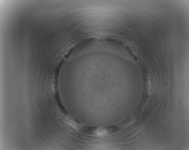 X0000067460604200604142326