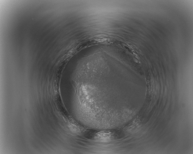 X0000067460606200604142326