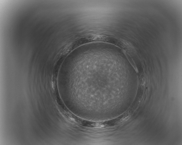 X0000067460607200604142326