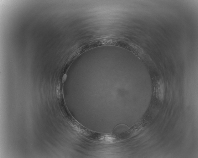 X0000067460610200604142326