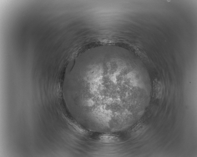 X0000067460614200604142326