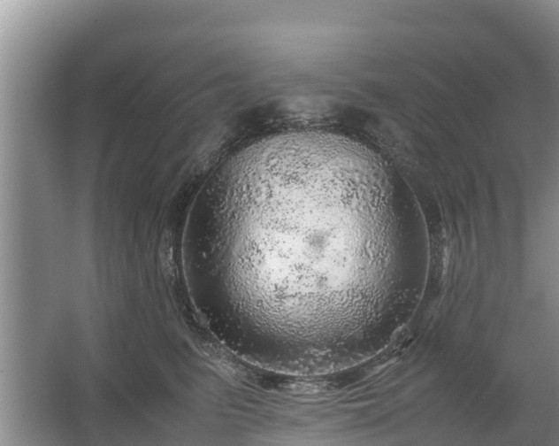 X0000067460615200604142326