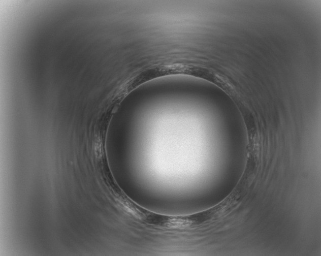 X0000067460617200604142326