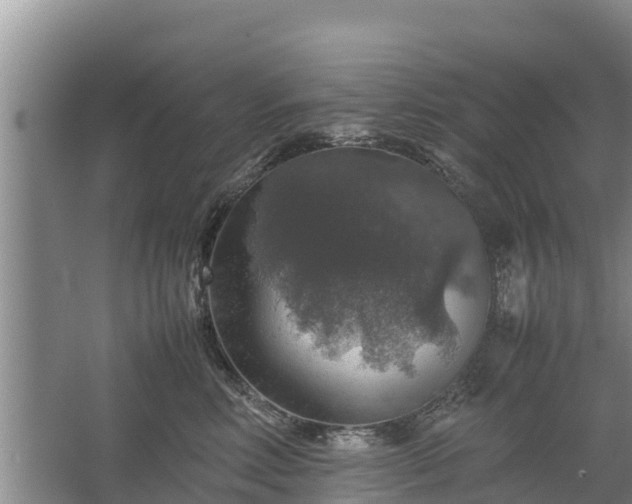 X0000067460618200604142326