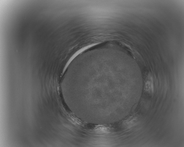 X0000067460620200604142326