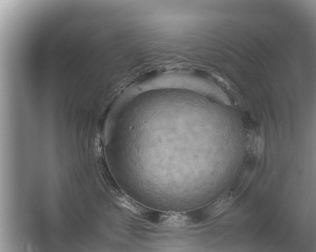 X0000067460621200604142326