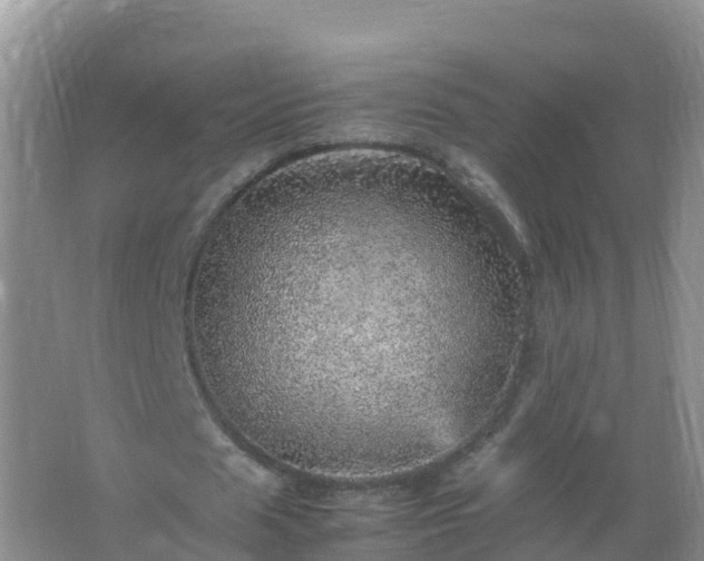 X0000067460625200604142325