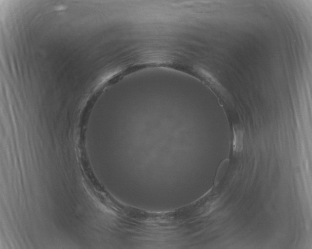 X0000067460627200604142325