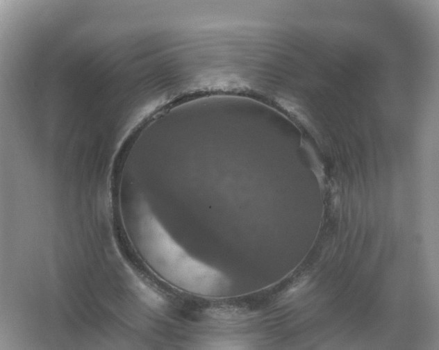 X0000067460630200604142325