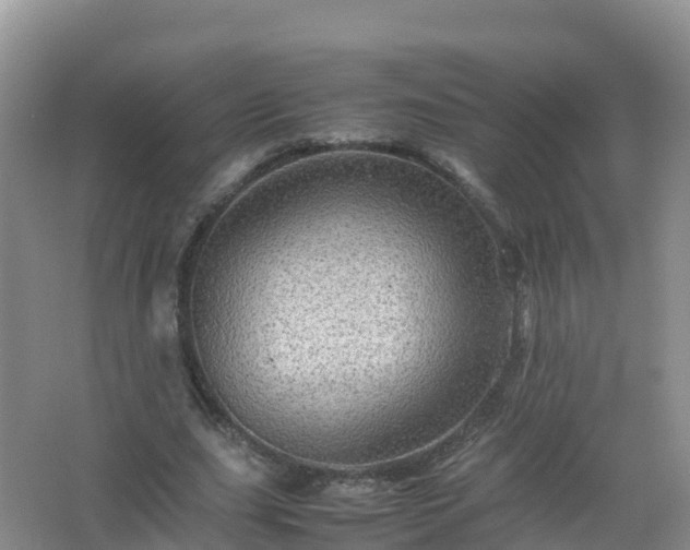 X0000067460631200604142325