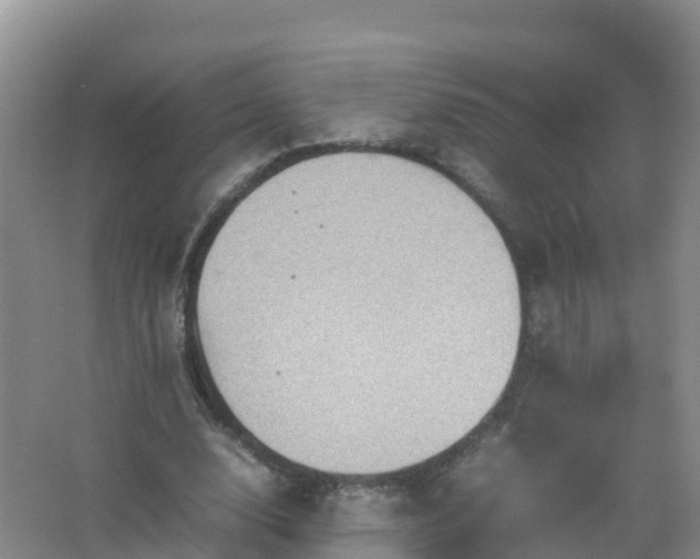 X0000067460632200604142325