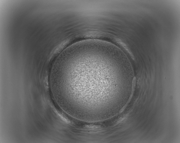 X0000067460633200604142325