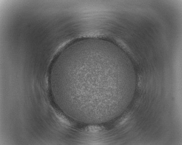 X0000067460636200604142325