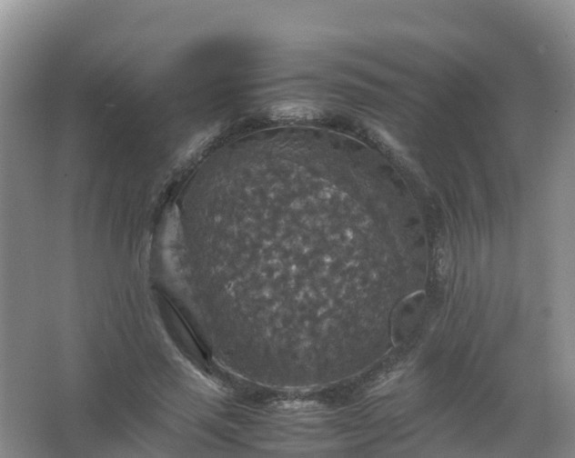 X0000067460637200604142325