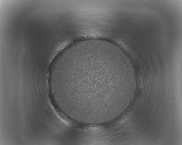 X0000067460638200604142325