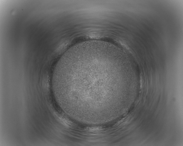 X0000067460639200604142325