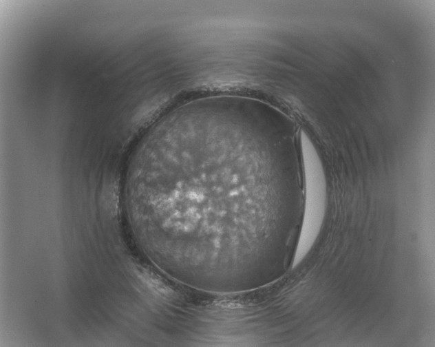 X0000067460640200604142325