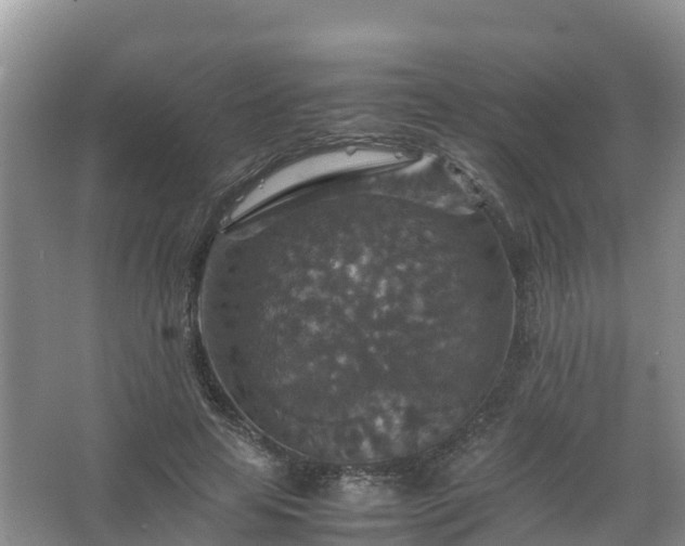 X0000067460641200604142326