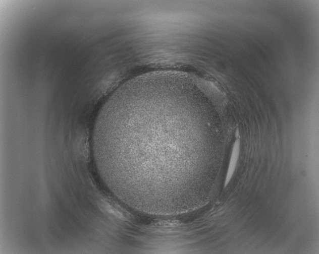 X0000067460642200604142326