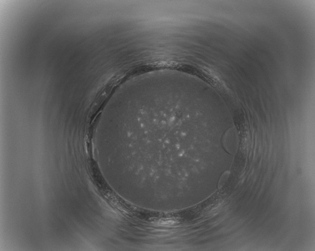 X0000067460643200604142326