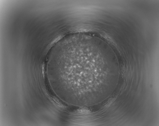 X0000067460644200604142326