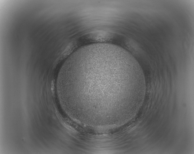 X0000067460646200604142326