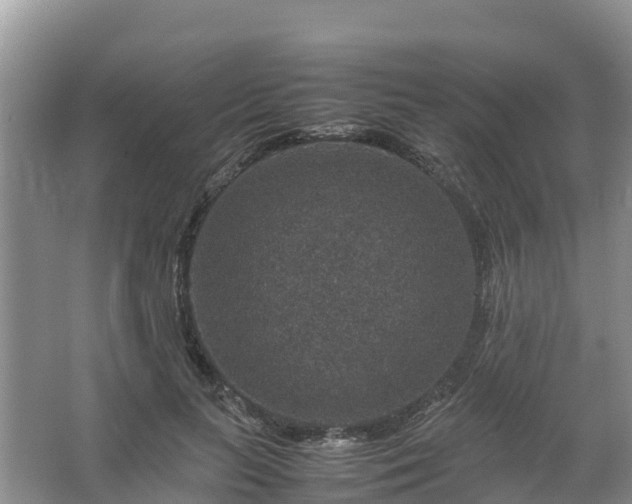 X0000067460647200604142326