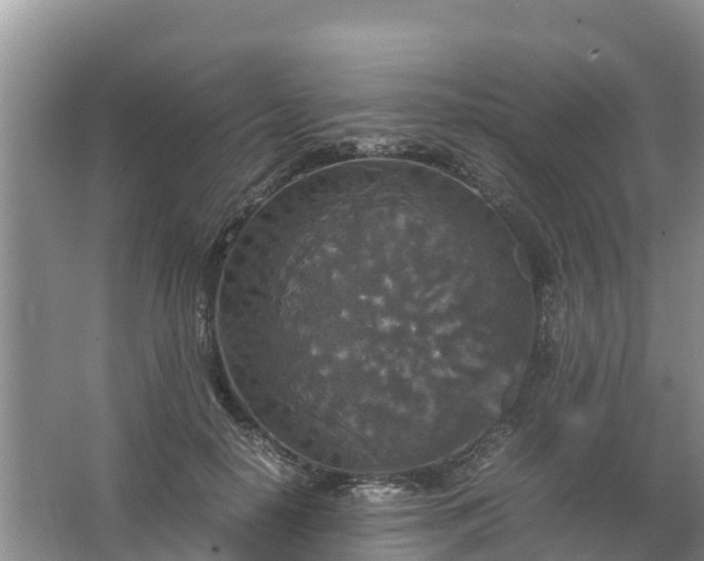 X0000067460650200604142326