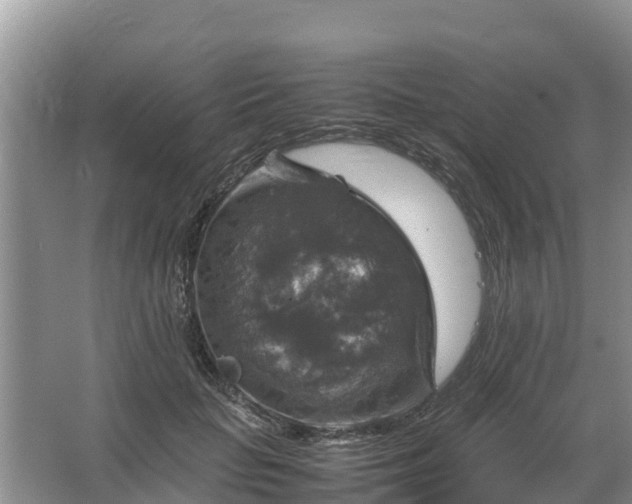 X0000067460653200604142326