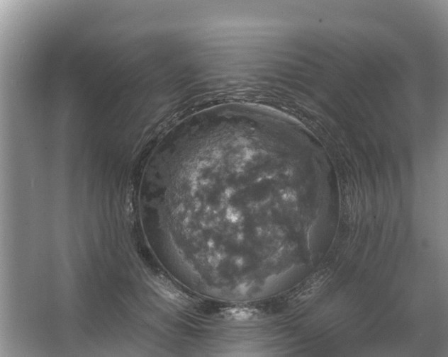 X0000067460654200604142326