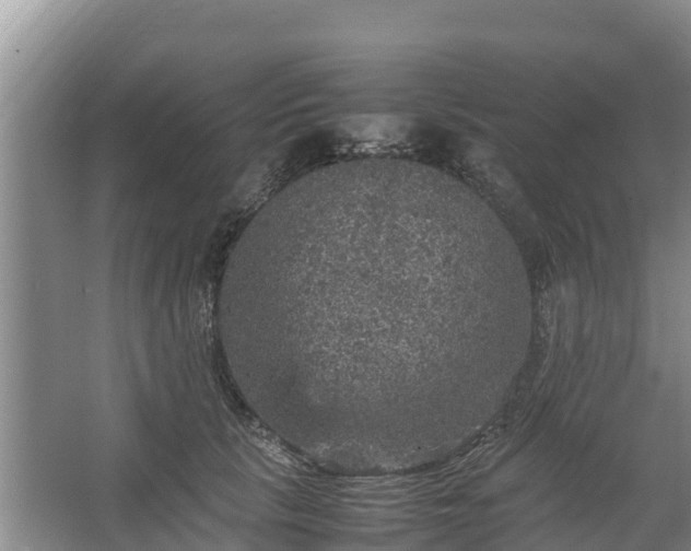 X0000067460657200604142326