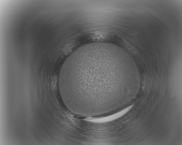 X0000067460660200604142326