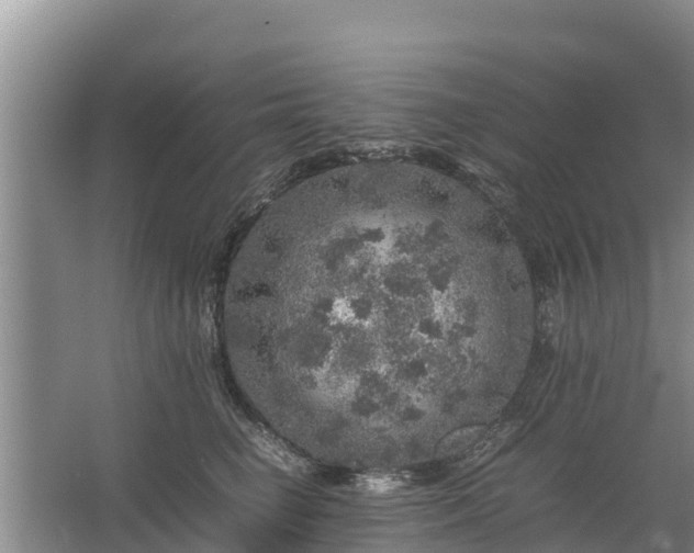 X0000067460662200604142326