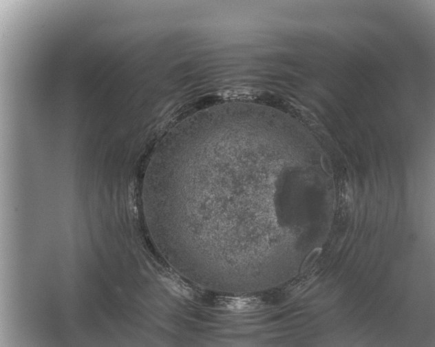 X0000067460663200604142326